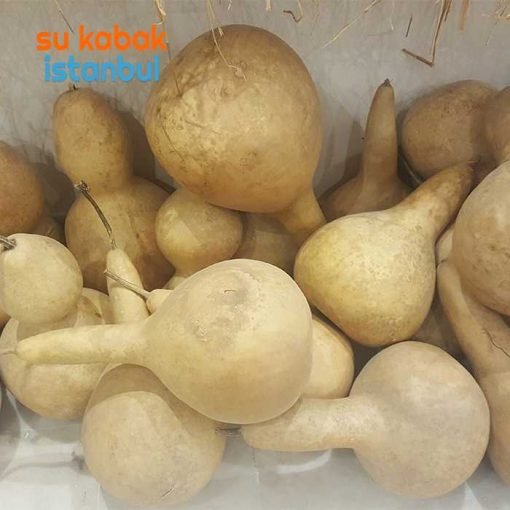3142.sukabakistanbul.com.çiftboğum.küçük