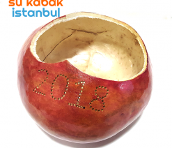 sukabakistanbul.2018yılbaşı.özel.sukabak.teraryum.saksı1