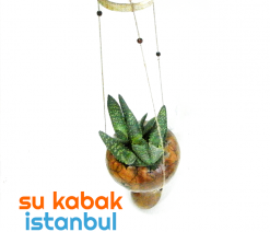 sukabakistanbul.askılı.saksıda.bir.bitki1