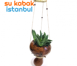 sukabakistanbul.askılı.saksıda.bir.bitki