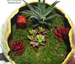 sukabakistanbul.sukabak.teraryum2