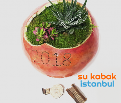 sukabakistanbul.sukabak.yılbaşı.2018.teraryum2