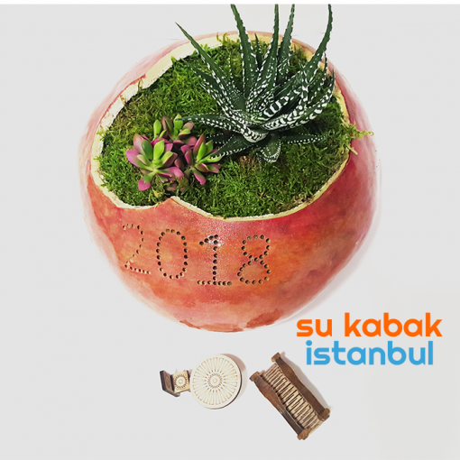 sukabakistanbul.sukabak.yılbaşı.2018.teraryum2