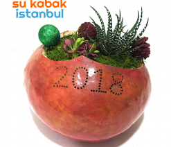 sukabakistanbul.sukabak.yılbaşı.2018.teraryum3