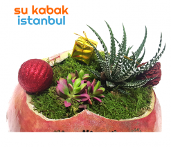 sukabakistanbul.sukabak.yılbaşı.2018.teraryum4