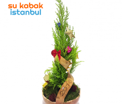 sukabakistanbul.yılbaşı.canlı.çam.teraryum