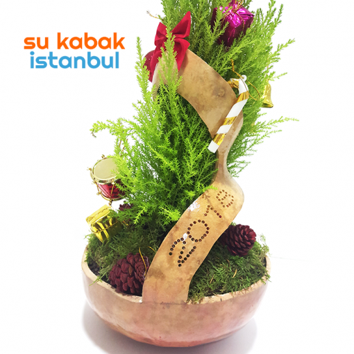 sukabakistanbul.yılbaşı.canlı.çam.teraryum1