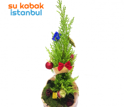 sukabakistanbul.yılbaşı.canlı.çam.teraryum2