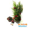 sukabakistanbul.yılbaşı.çam.mimyatürlü