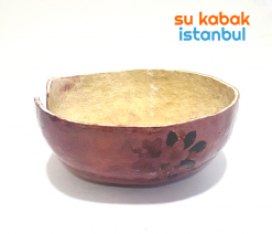 subakabak.yeni.saksı.teraryum2