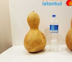3143.sukabakistanbul.com.çiftboğum.orta