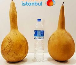 3145.sukabakistanbul.com.tekboğum.orta