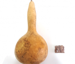 su-kabagi-tohumu-10-adet__0534194459020510