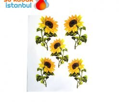 sukabak.için.transfer2.sukabakistanbul.com