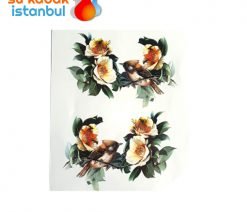 sukabak.için.transfer3.sukabakistanbul.com